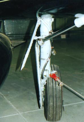 details11.jpg